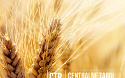 Центральна сільськогосподарська виставка 2020