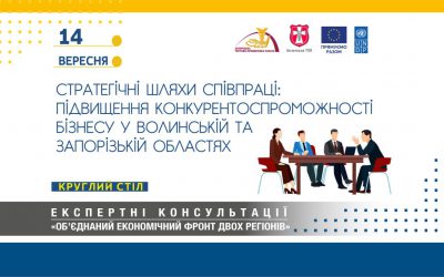 Круглий стіл «Стратегічні шляхи співпраці: Підвищення конкурентоспроможності бізнесу у Волинській та Запорізькій областях»