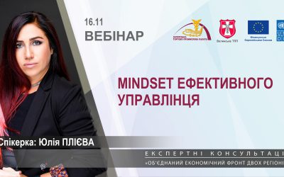 Вебінар «Мindset ефективного управлінця»