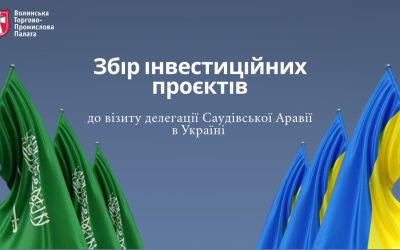 Збір інвестиційних проєктів до візиту делегації Саудівської Аравії