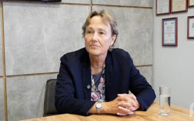 Податкові та митні перевірки: коли бізнес може розраховувати на допомогу?